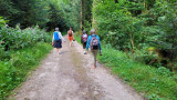 Bain de forêt