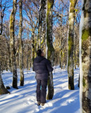 Bain de forêt hivernal et sophrologie