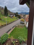 hallentree