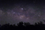 sky-full-of-stars-and-silhouettes-of-trees-below-3126631