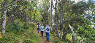Sortie bien-être et bain de forêt