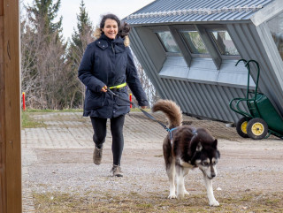 Cani-balade