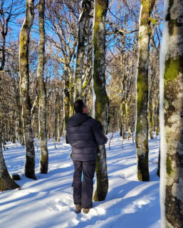 Bain de forêt hivernal et sophrologie - © Sophrologie - Carole Michel Bain de forêt hivernal et sophrologie