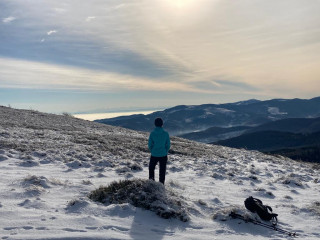 Bain de forêt hivernal et sophrologie - © Sophrologie - Carole Michel Bain de forêt hivernal et sophrologie