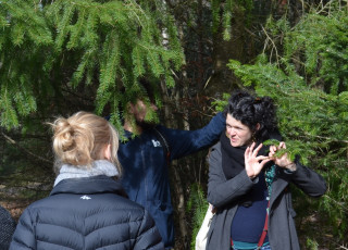 Balade contée à la rencontre des arbres - © Art Thérapie - Juliette TOURON Balade contée à la rencontre des arbres