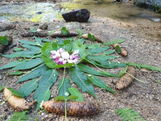 Escapade bien-être Escapade bien-être