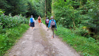 Loslassen und tiefe Entspannung beim Waldbaden - © Carole Michel - Sophrologue Loslassen und tiefe Entspannung beim Waldbaden