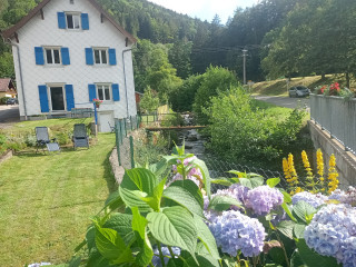 231011188_1 231011188_1