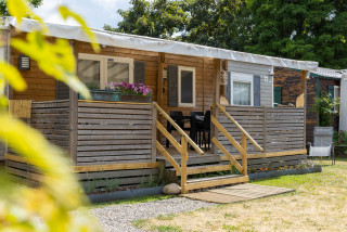 231011398_1 231011398_1