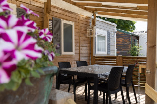 231011398_15 231011398_15