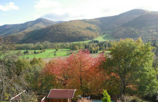 231000382_12 231000382_12