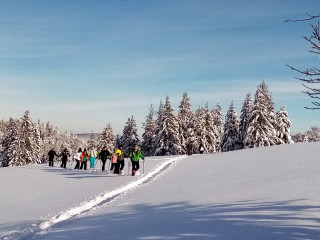 raquette-balceurche-fred-3330252 raquette-balceurche-fred-3330252