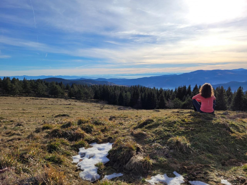 Sortie bien-être et bain de forêt