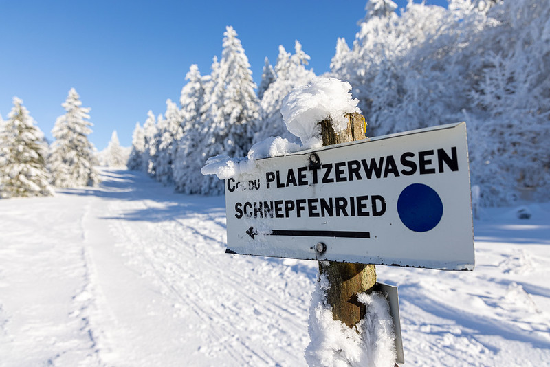 52660516459-12fbb81332-c-3300747 - © OTVM 52660516459-12fbb81332-c-3300747