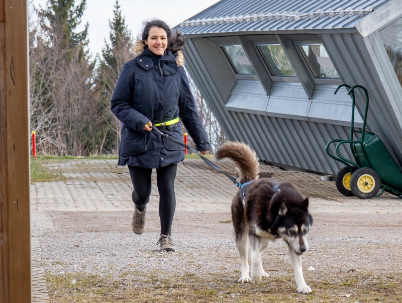 Cani-balade