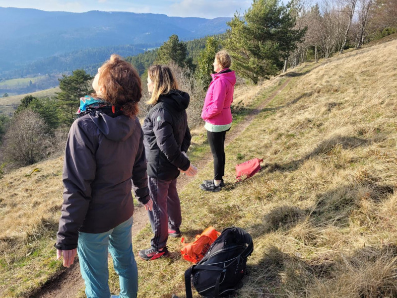 Sortie bien-être et bain de forêt