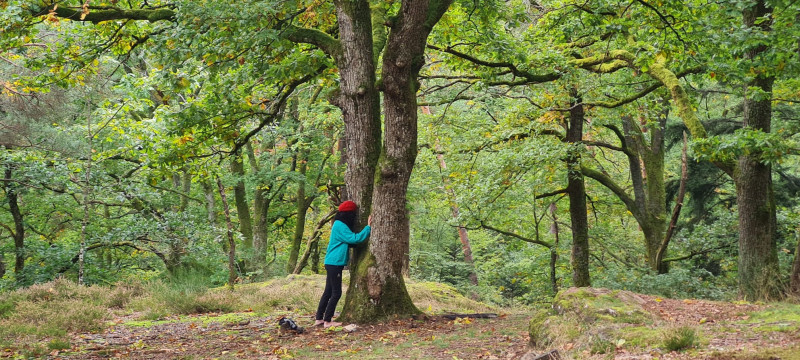 Balade contée à la rencontre des arbres - © Art Thérapie - Juliette TOURON Balade contée à la rencontre des arbres