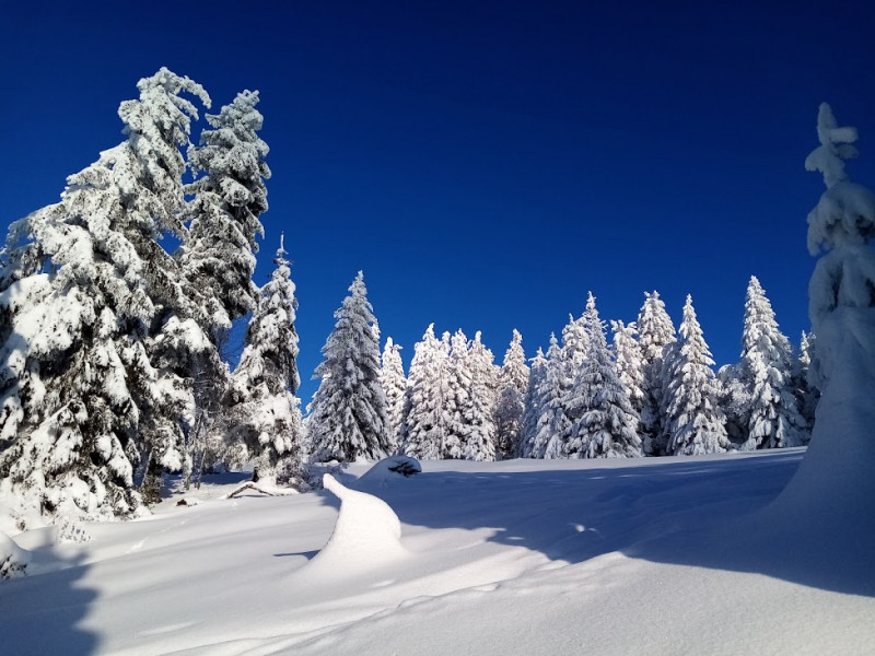 Balade nocturne en montagne hivernale