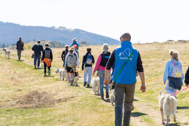 Cani-balade avec la meute de chiens nordiques