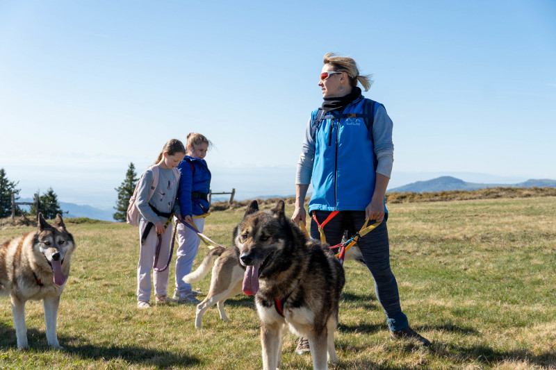 Cani-balade avec la meute de chiens nordiques Cani-balade avec la meute de chiens nordiques