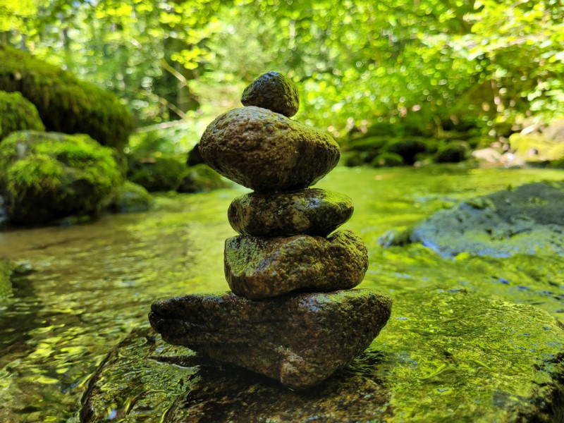 Lâcher prise et détente profonde avec le bain de forêt - © Carole Michel - Sophrologue Lâcher prise et détente profonde avec le bain de forêt