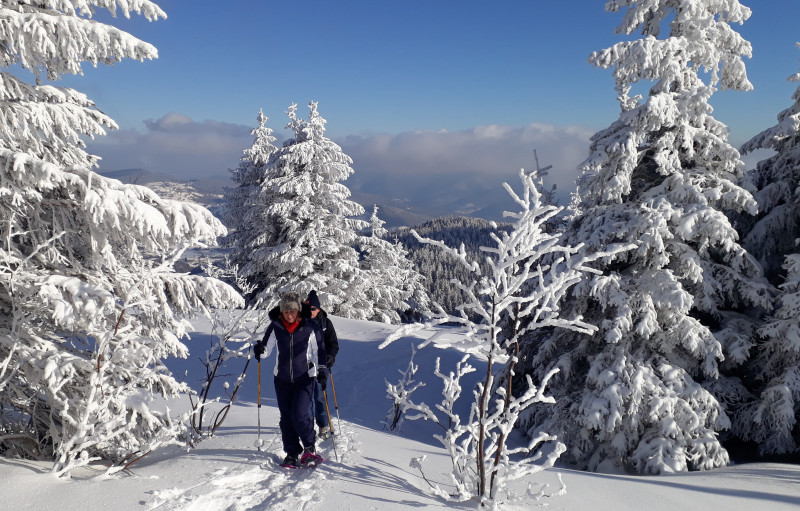 oxygenenature-hiver-2-3300741