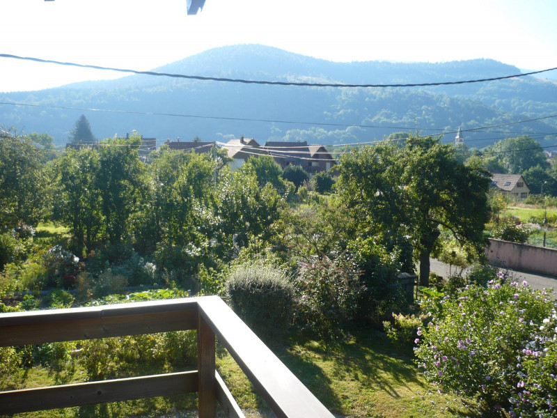 231008731_15 231008731_15