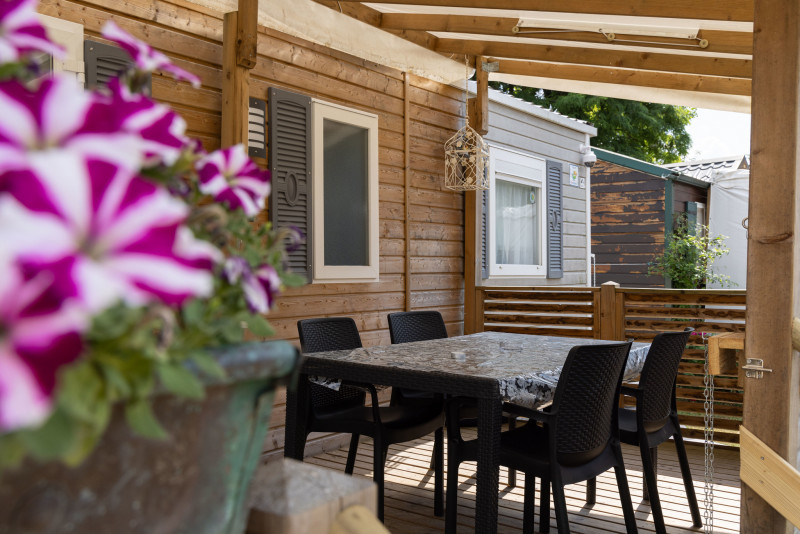 231011398_15 231011398_15